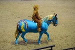 Quadrille - 00455